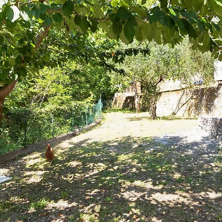 Casa Taggiasca 빌라 *